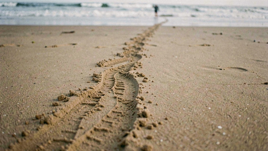 Des repères de parcours et des traces de roues dessinent une ligne sur le sable à marée basse.